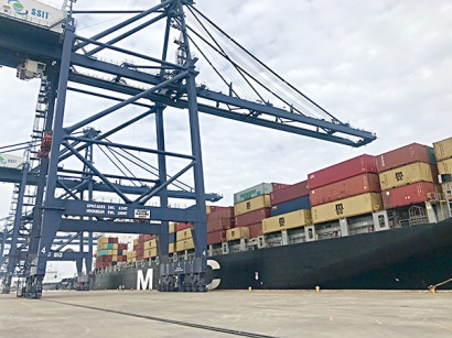 Bà Rịa - Vũng Tàu: Doanh nghiệp xuất khẩu thủy sản gặp khó vì cước tàu biển tăng cao