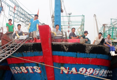 Nghệ An: Tàu 67 của ngư dân Quỳnh Lưu trúng hơn 1 tỷ đồng cá hố