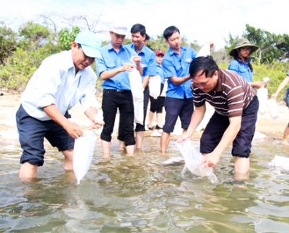 Khánh Hòa: Tái tạo nguồn lợi thủy sản ven bờ