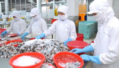 Xuất khẩu tôm sang EU dự kiến tăng 7,5% năm 2016 