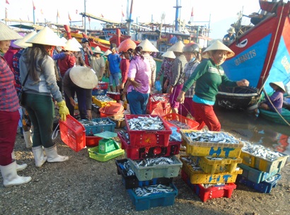 Xã Cảnh Dương (Quảng Trạch, Quảng Bình): Được mùa cá nục