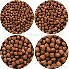 Ấn Độ giới thiệu thức ăn tăng trưởng nhanh cho cá 