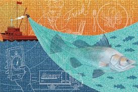 Nga: Ngành thủy sản cần đẩy mạnh áp dụng kỹ thuật số 