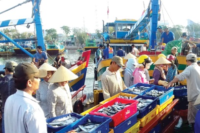 Ăm ắp mùa biển cuối năm