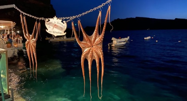 Từ mức giá rất thấp, giá bạch tuộc tại EU đã phục hồi 