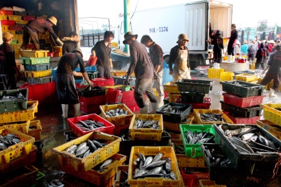 Thứ trưởng Vũ Văn Tám: Quyết liệt hành động để xây dựng nghề cá có trách nhiệm, bền vững