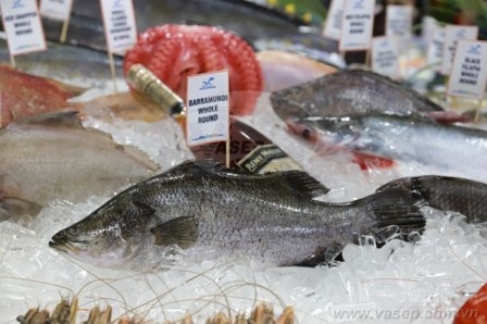 11 tháng đầu năm nay, xuất khẩu hải sản tăng 8,4%