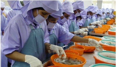 XK thủy sản Ấn Độ: Tôm đông lạnh chiếm tỷ trọng lớn nhất