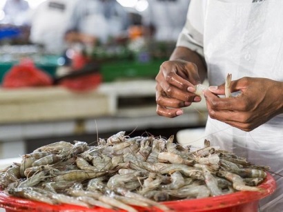 Tháng 2/2018, EU gửi báo cáo thanh tra tới Ấn Độ 