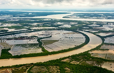 Jambi, Indonesia: Xuất khẩu tôm bị ảnh hưởng nặng nề bởi dịch Covid-19