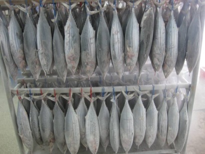 Thị trường cá ngừ thế giới năm 2016 trầm lắng