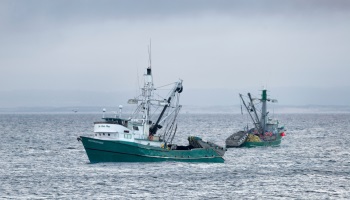 Papua New Guina kêu gọi hợp tác nhằm giải quyết các vấn đề IUU ở Đông Nam Á