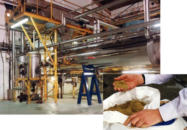 Rabobank: Giá cá hồi, giá tôm và nhu cầu bột cá dự báo tăng trong năm 2021