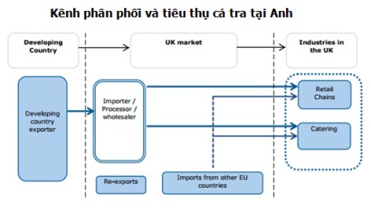 Xuất khẩu cá tra sang Anh tăng 13,9%