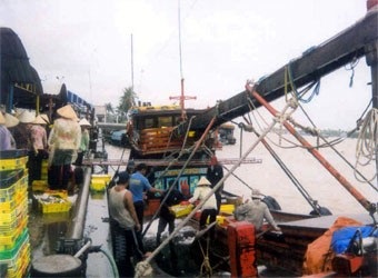 Khắc phục thẻ vàng cho thủy sản Việt Nam: Nhiều tín hiệu vui