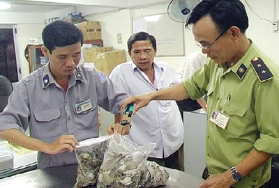 Đẩy mạnh triển khai Đề án kiểm soát ngăn chặn hành vi đưa tạp chất vào tôm nguyên liệu