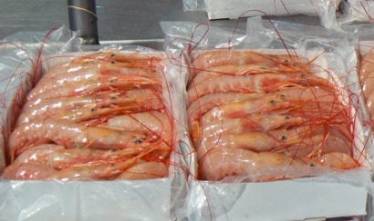 Argentina: 50 nhà máy chế biến được phép XK tôm vào Guatemala