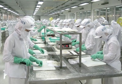 Luật Lao động nhiều bất cập: Đề nghị không kéo dài sửa Luật sang năm 2019