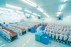 Xuất khẩu tôm Mỹ Latinh dự kiến tăng 14%