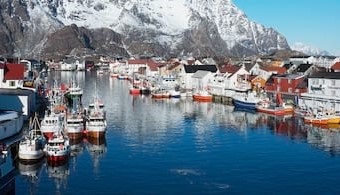 Na Uy: Xuất khẩu thủy sản năm 2018 đạt 11,5 tỷ USD 