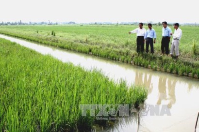 Trúng mùa trên đất lúa – tôm