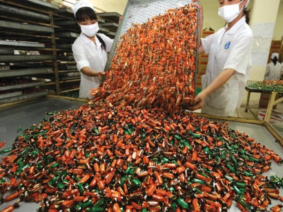 Ma trận giấy phép con và nền kinh tế sáng tạo (kỳ 1)