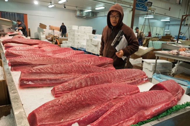 Người Mỹ ăn nhiều cá ngừ tươi sống, đông lạnh hơn