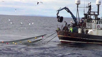 WWF muốn MSC nhanh chóng cải cách