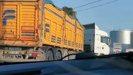 EU được khuyến nghị ngừng nhập khẩu bột cá, dầu cá từ Tây Phi