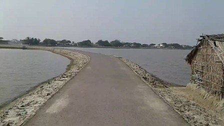 Bangladesh: Ngành tôm kêu gọi hỗ trợ từ Chính phủ