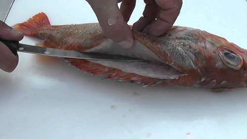 Na Uy giảm xuất khẩu cá haddock đông lạnh so với cùng kỳ năm 2019