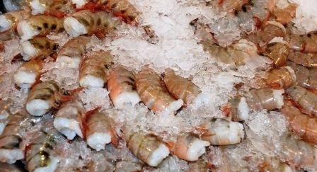 Mexico: Các nhà sản xuất, nhập khẩu tôm cam kết chống khai thác tôm bằng lưới rê