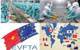 Sáng 20/4/2018 - [HCM] Hội thảo "Phân tích lợi thế của CPTPP và EVFTA cho các DN ngành thủy sản"