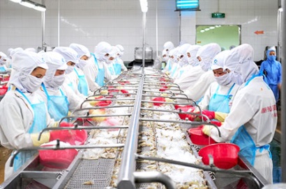 Chủ tịch Minh Phú hiến kế lập khu phức hợp thủy sản "đáng sống, đáng đầu tư nhất Việt Nam"