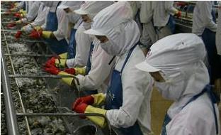 MPC: Lợi nhuận quý I/2014 tăng hơn 9 lần cùng kỳ