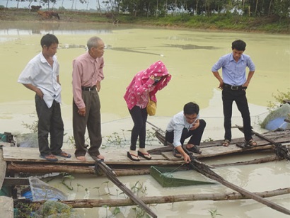 Mô hình ương giống cá lóc ở Đức Linh (Bình Thuận)