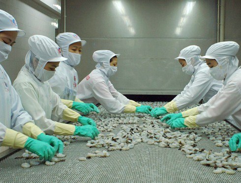 MPC: Cổ tức 2013 sẽ được trả sớm hơn 15 ngày