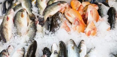 Mỹ dự kiến kiểm soát thủy sản nhập khẩu như sản phẩm nội địa