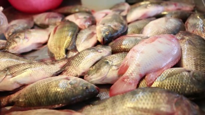Nhập khẩu cá rô phi của Mỹ trong nửa đầu năm 2017