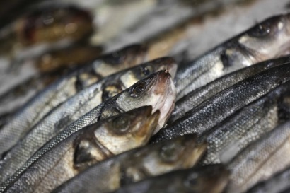 Nga: Khủng hoảng tài chính tiếp tục ảnh hưởng đến tiêu thụ cá