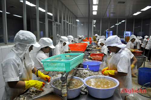 NGHE AN II SEAPRODEXIM JSC: Tự chủ và sáng tạo trong kinh doanh