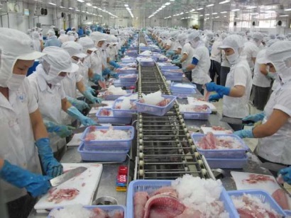 Cảnh báo lừa đảo trong giao dịch xuất khẩu thủy sản
