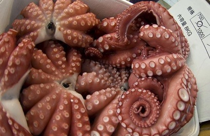 Nhật Bản: Giá bạch tuộc tăng do nguồn cung thấp 