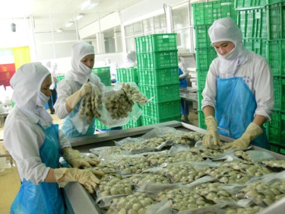 Xuất khẩu nhuyễn thể hai mảnh vỏ tăng trưởng nhẹ