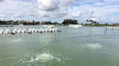 Đà Nẵng: Tăng gấp đôi diện tích nuôi tôm tại Trường Định