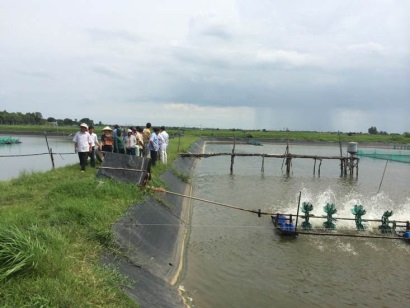 Bà Rịa - Vũng Tàu: Thông báo môi trường vùng nuôi thủy sản qua tin nhắn