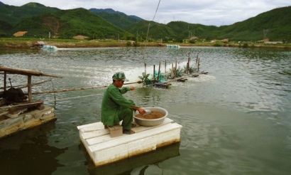 Bạc Liêu: Khuyến khích nuôi Artemia để giảm rủi ro