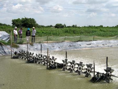 Đề nghị bỏ thuế nhập khẩu trứng Artemia càng sớm càng tốt