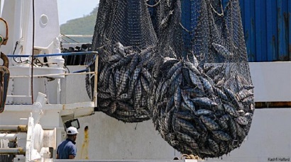 Thái Bình Dương đẩy mạnh đấu tranh chống khai thác bất hợp pháp