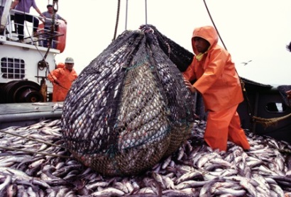 Peru: Sản lượng thủy sản tăng 38% trong quý 1
